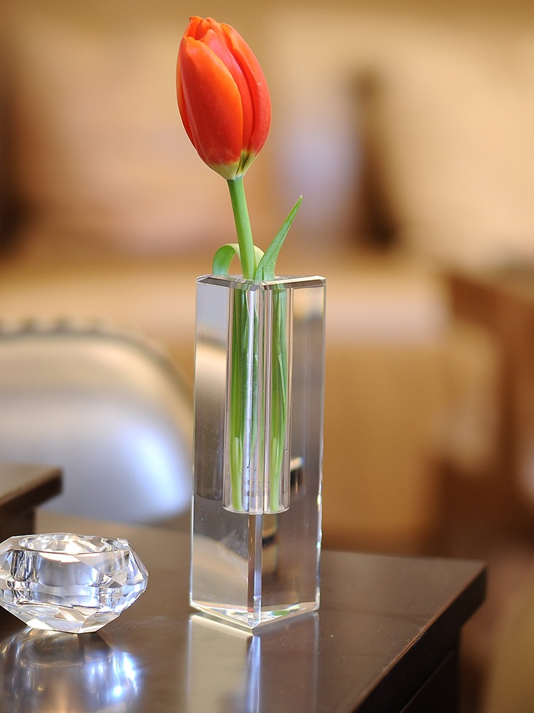 Vaso de vidro de cristal perso - Xt Home Textiles avaliação e preço
